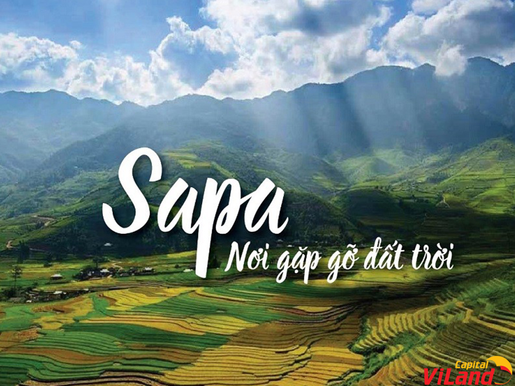 Căn hộ sapa3